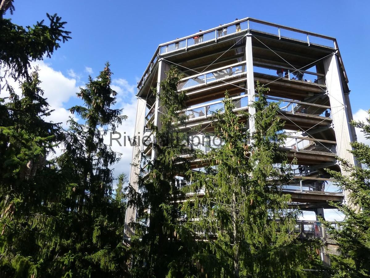 伏尔塔瓦河畔利普诺Riviera Lipno 415公寓 外观 照片